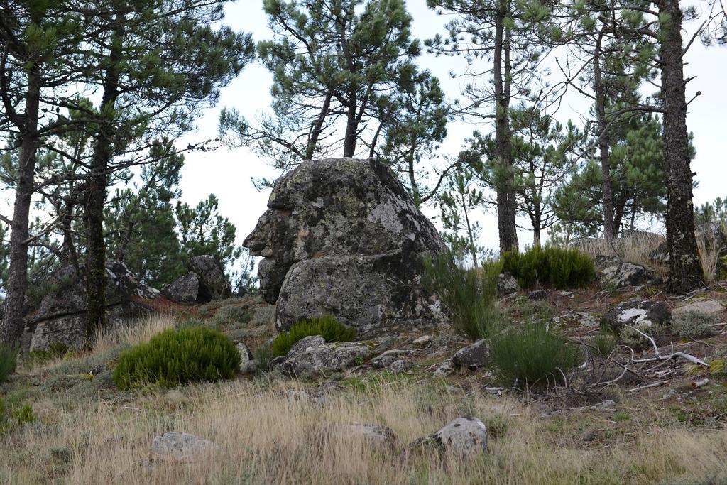 Terra Mista Alojamento Local Gouveia  Esterno foto